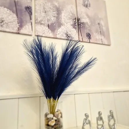 La Perla,4 Persone Centro Storico Sanremo