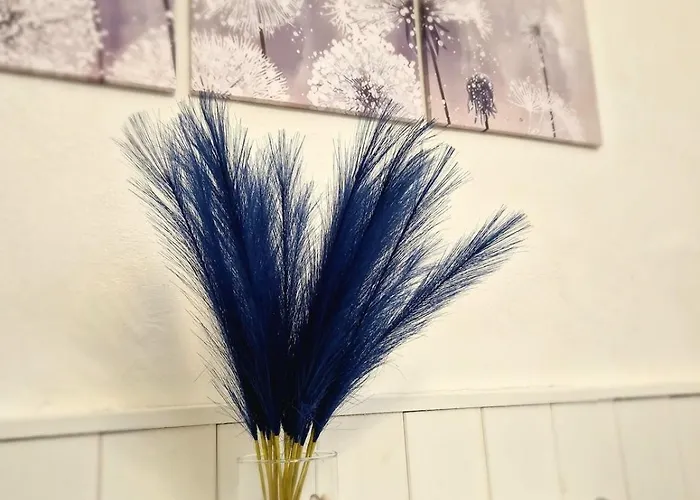 La Perla,4 Persone Centro Storico Sanremo